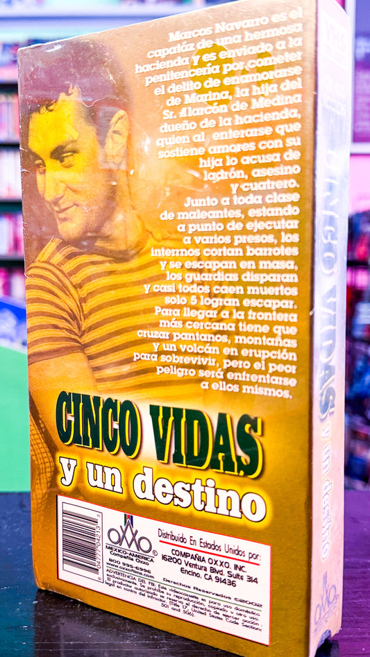 Cinco Vidas Y Un Destino