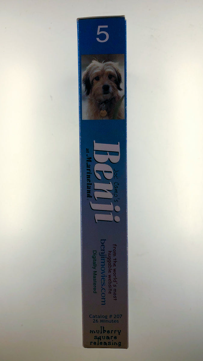 Benji at Marineland – WHAMMY! Analog Media