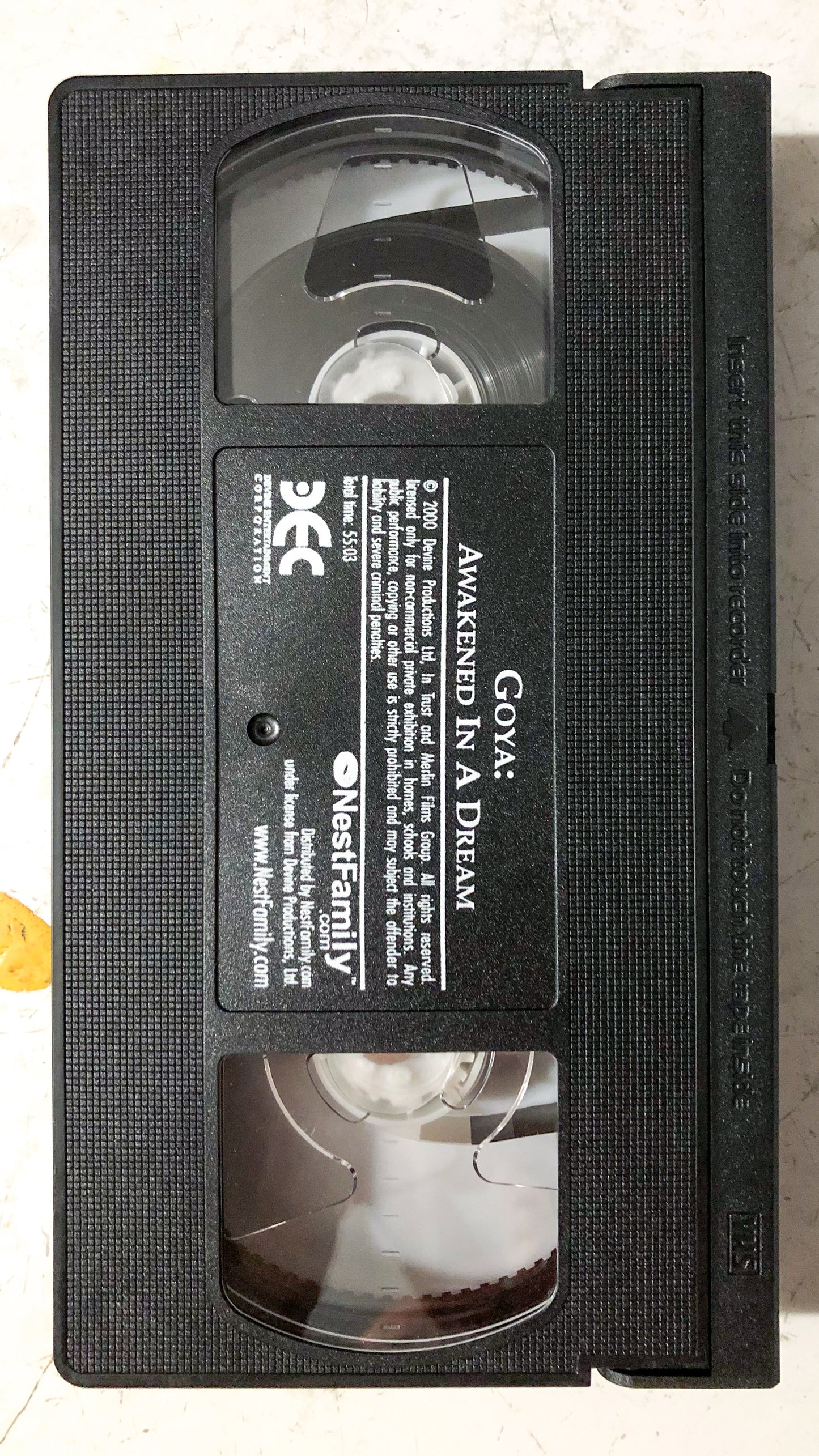 Goya: Awakened in a Dream