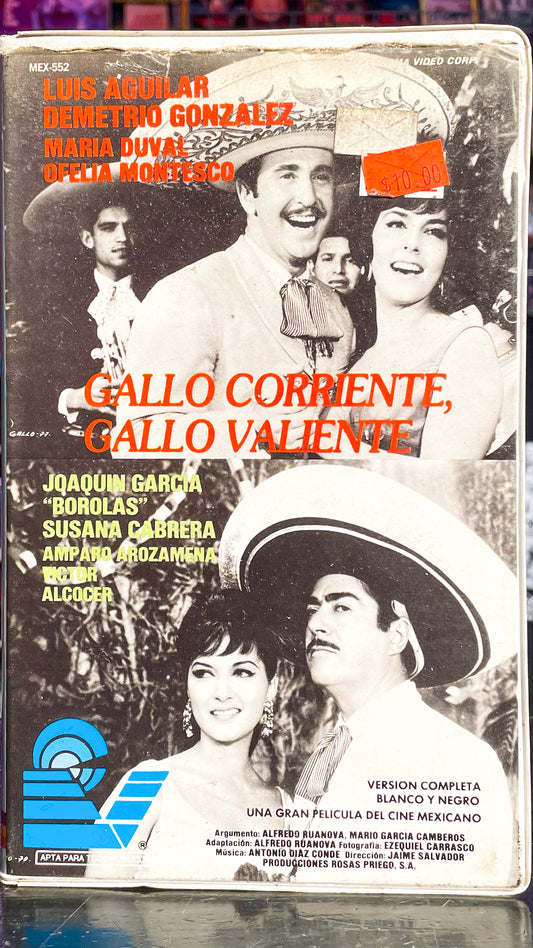 Gallo Corrientes, Gallo Valiente