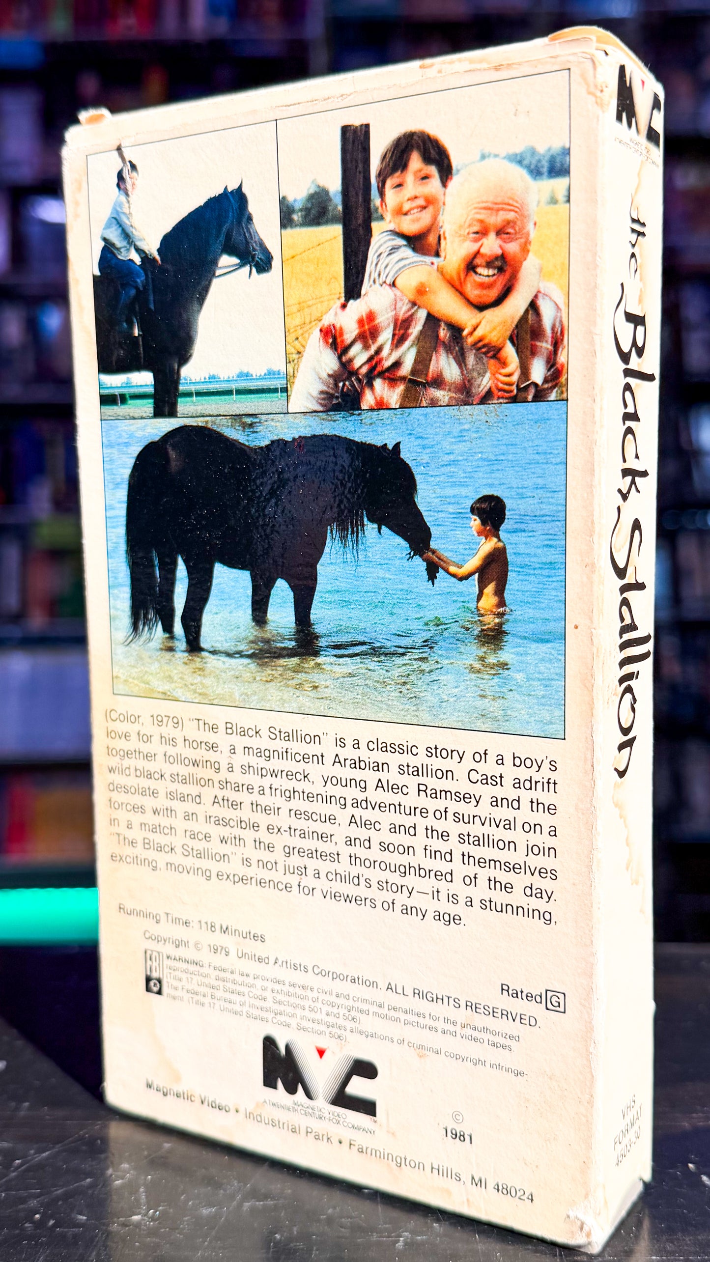 The Black Stallion