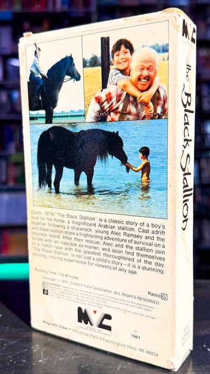 The Black Stallion
