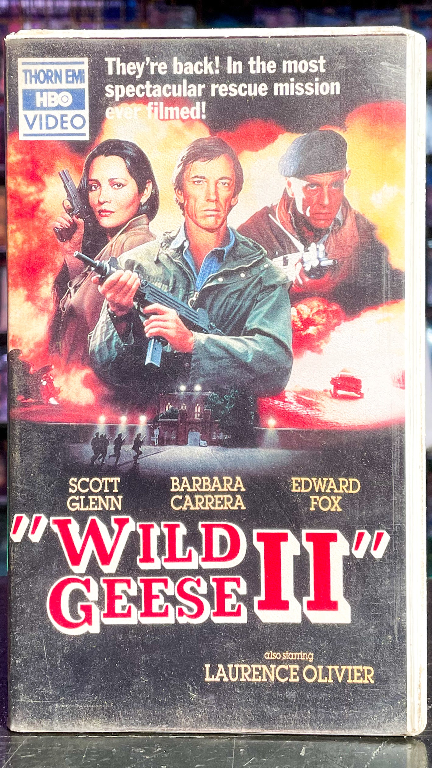 Wild Geese II