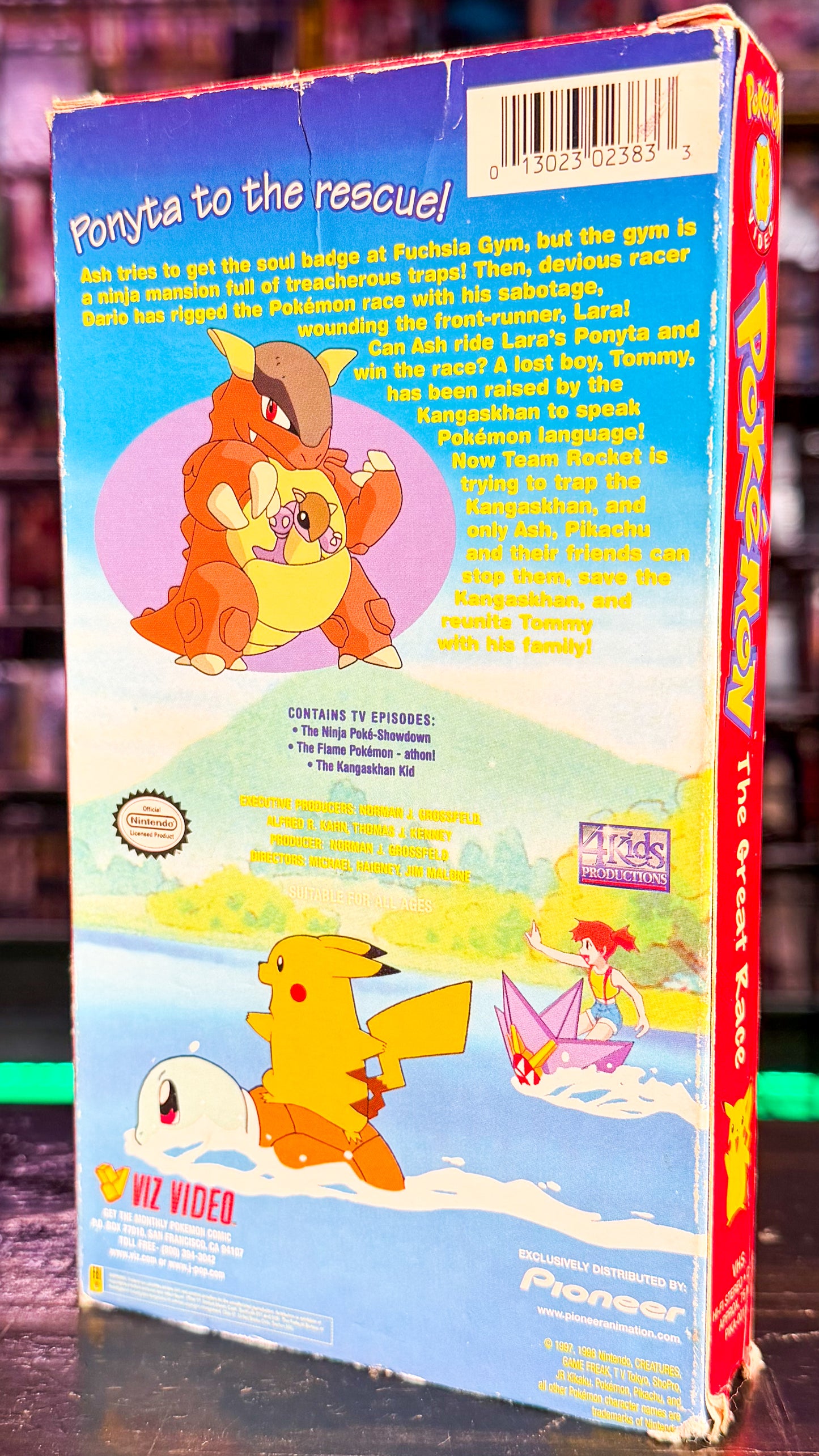 Pokémon: The Great Race