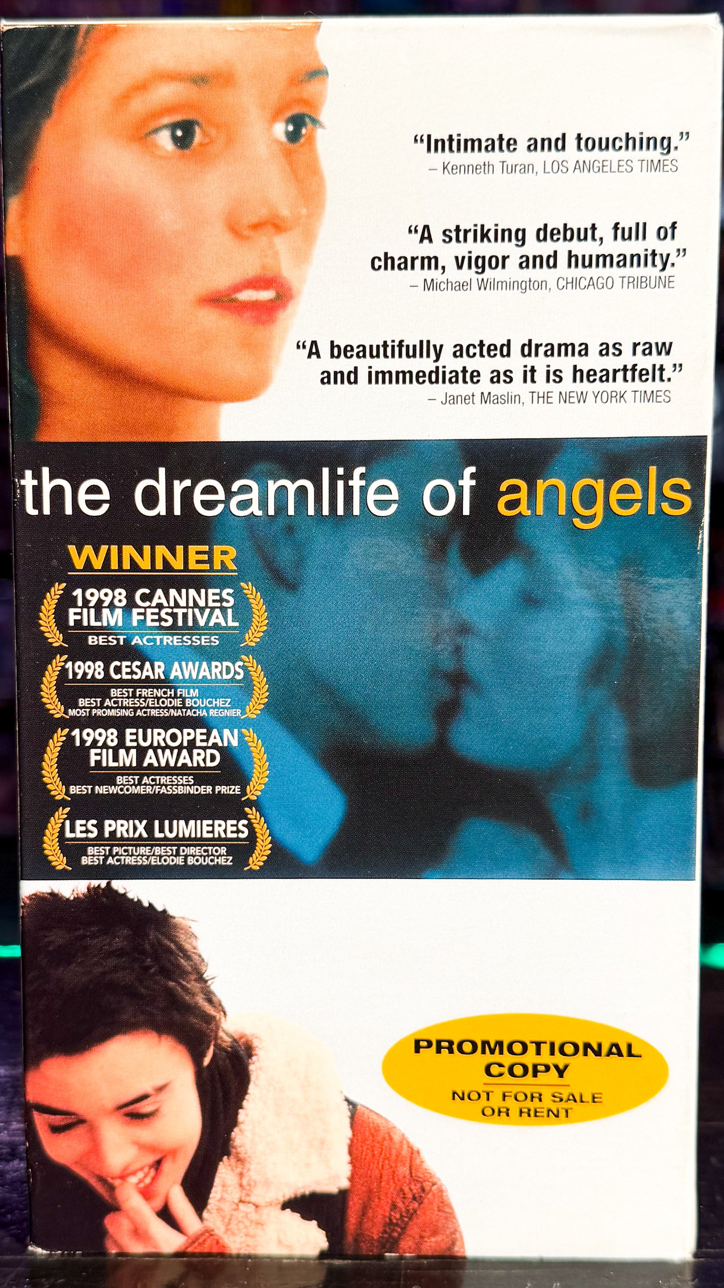 The Dreamlife Of Angels