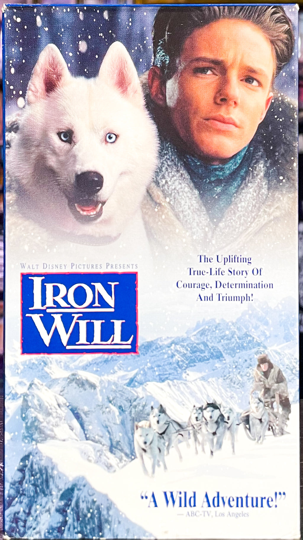 Iron Will