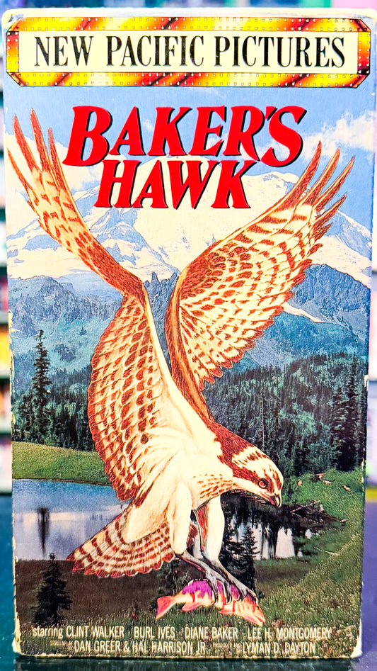 Baker’s Hawk