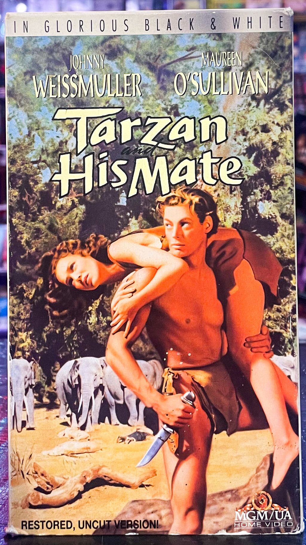 Tarzan And His Mate