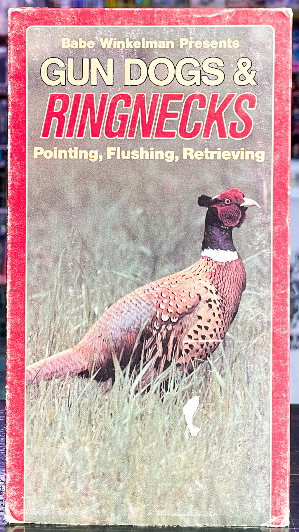 Gun Dogs & Ringnecks