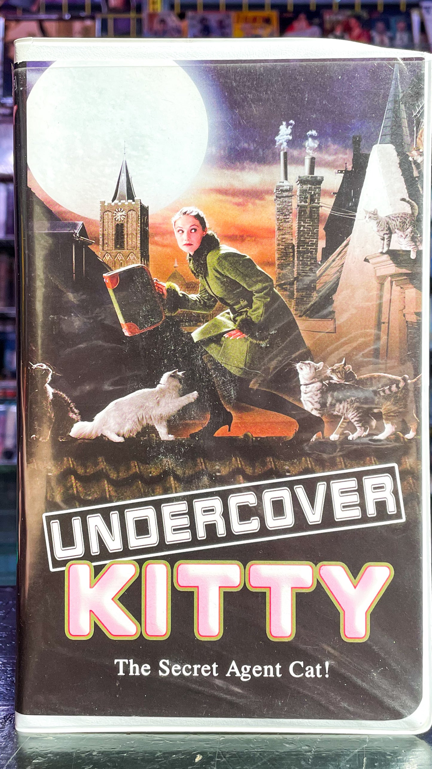 Undercover Kitty