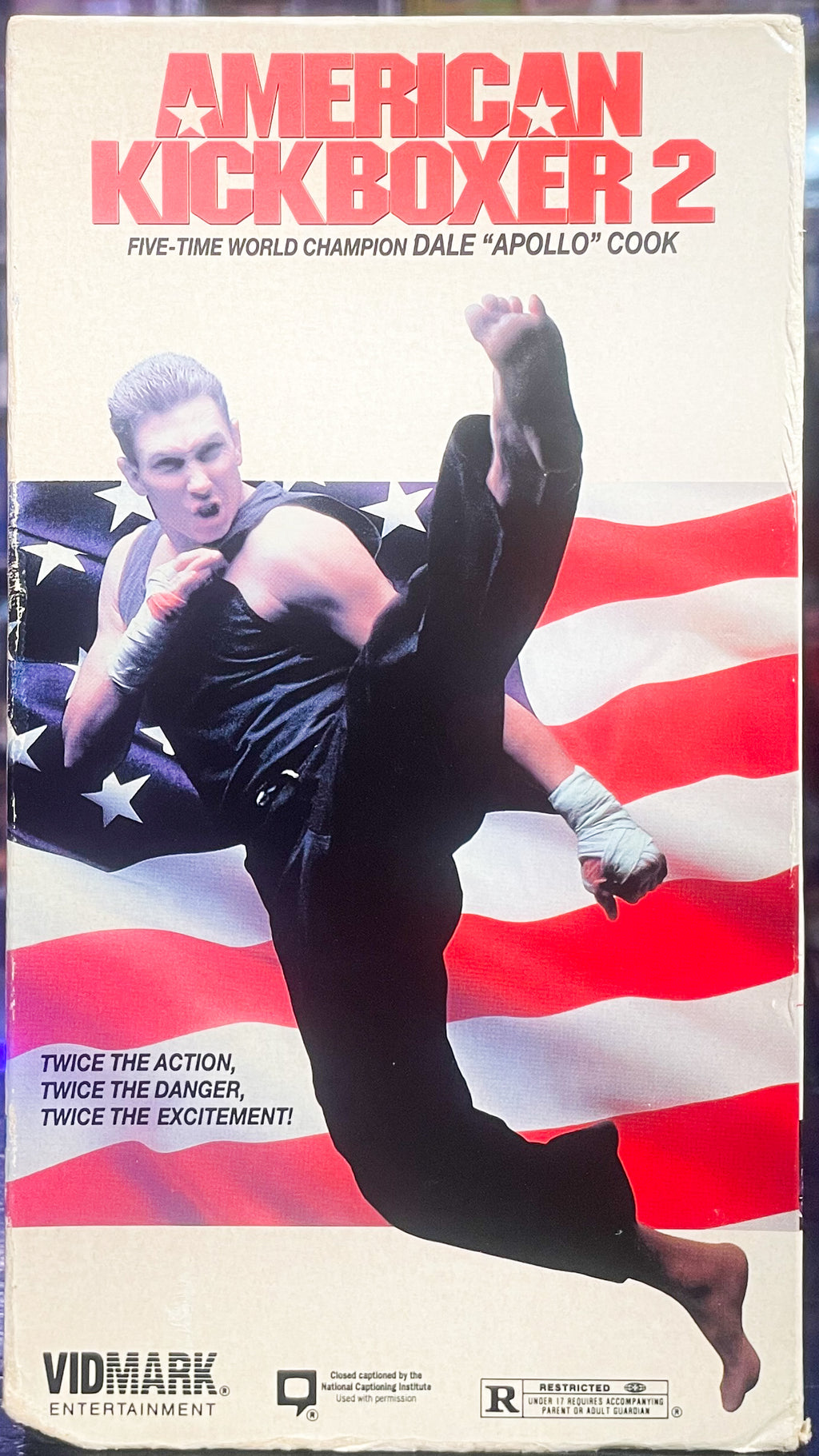 American Kickboxer 2