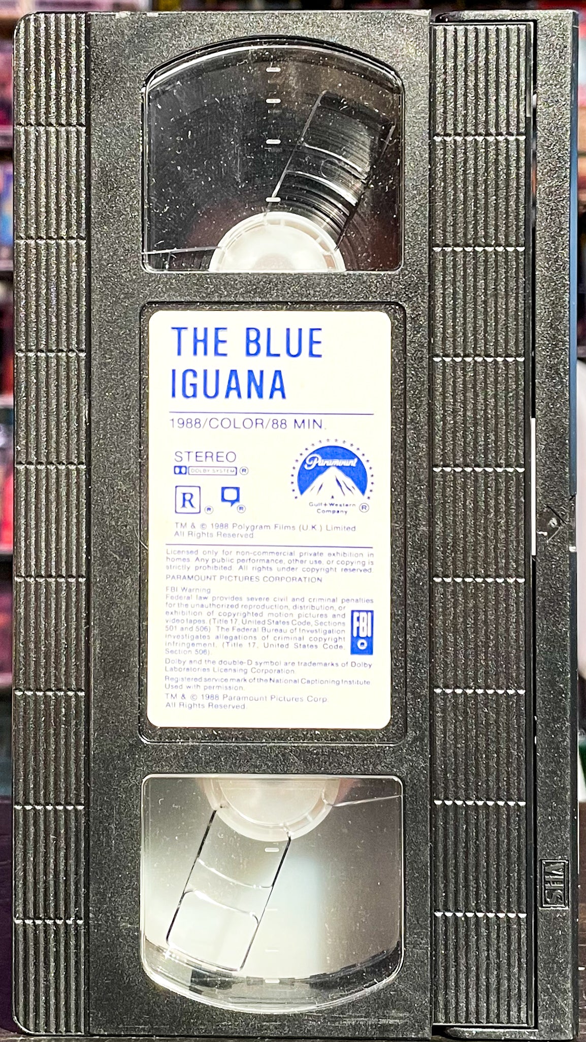 The Blue Iguana