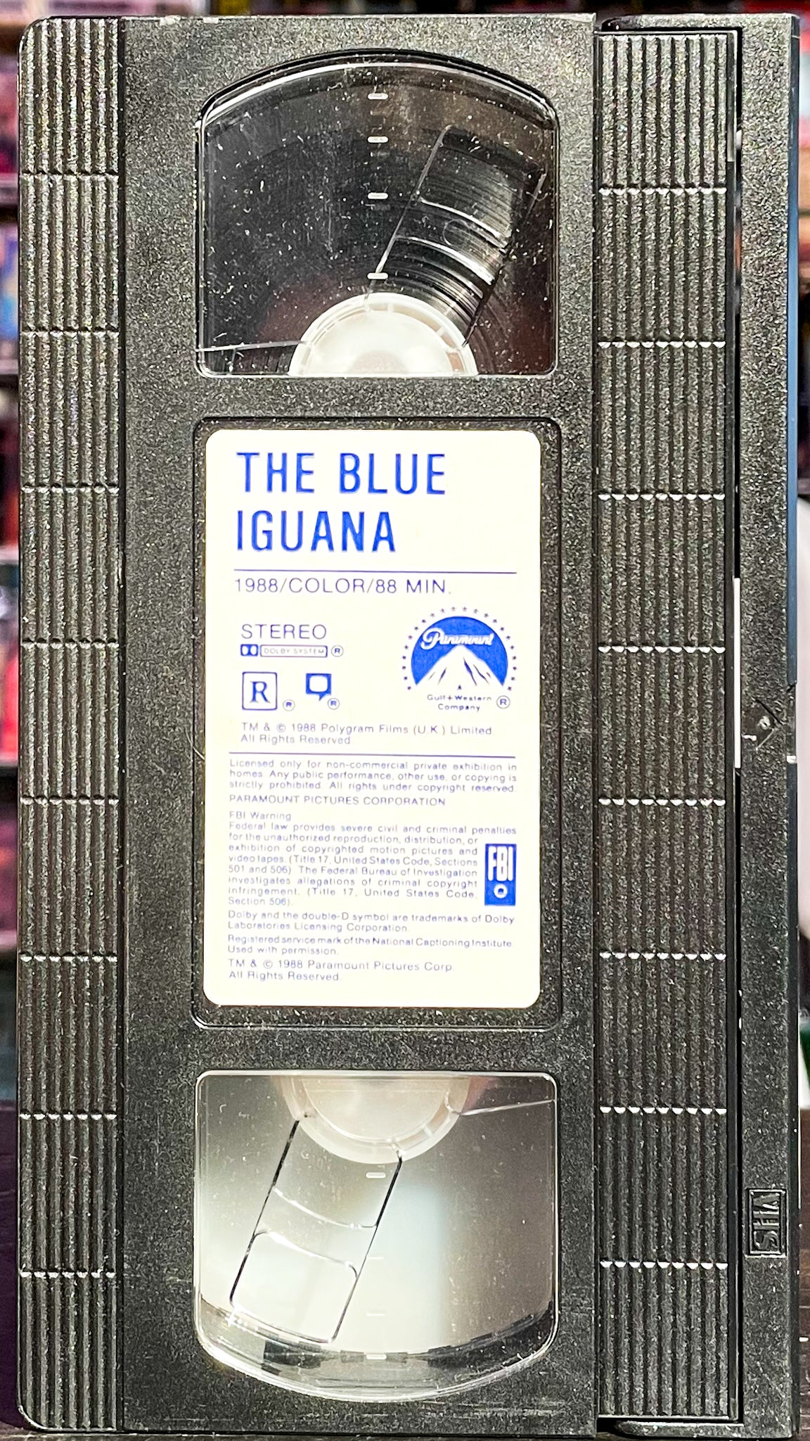 The Blue Iguana