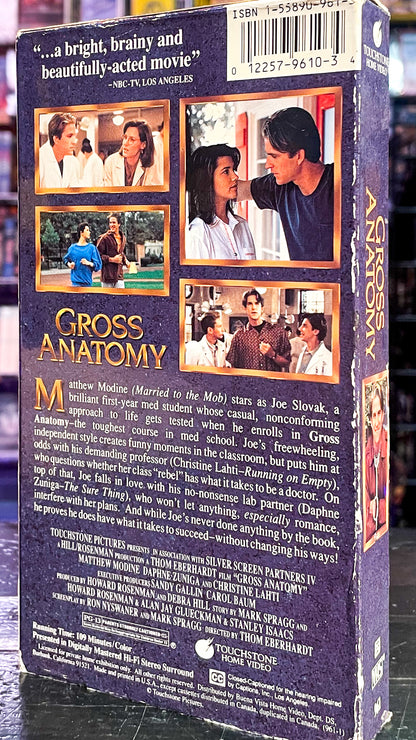 Gross Anatomy