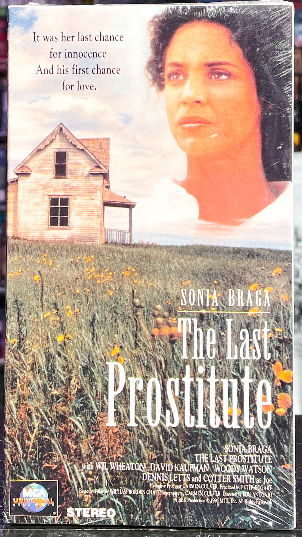 The Last Prostitute