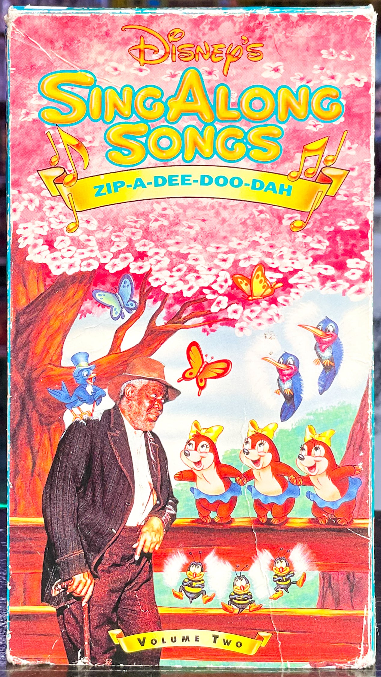 ジルジャンディ ロンドン VHS ドラム ジルジャンディ ロンドン VHS ドラム ジルジャンディ ロンドン