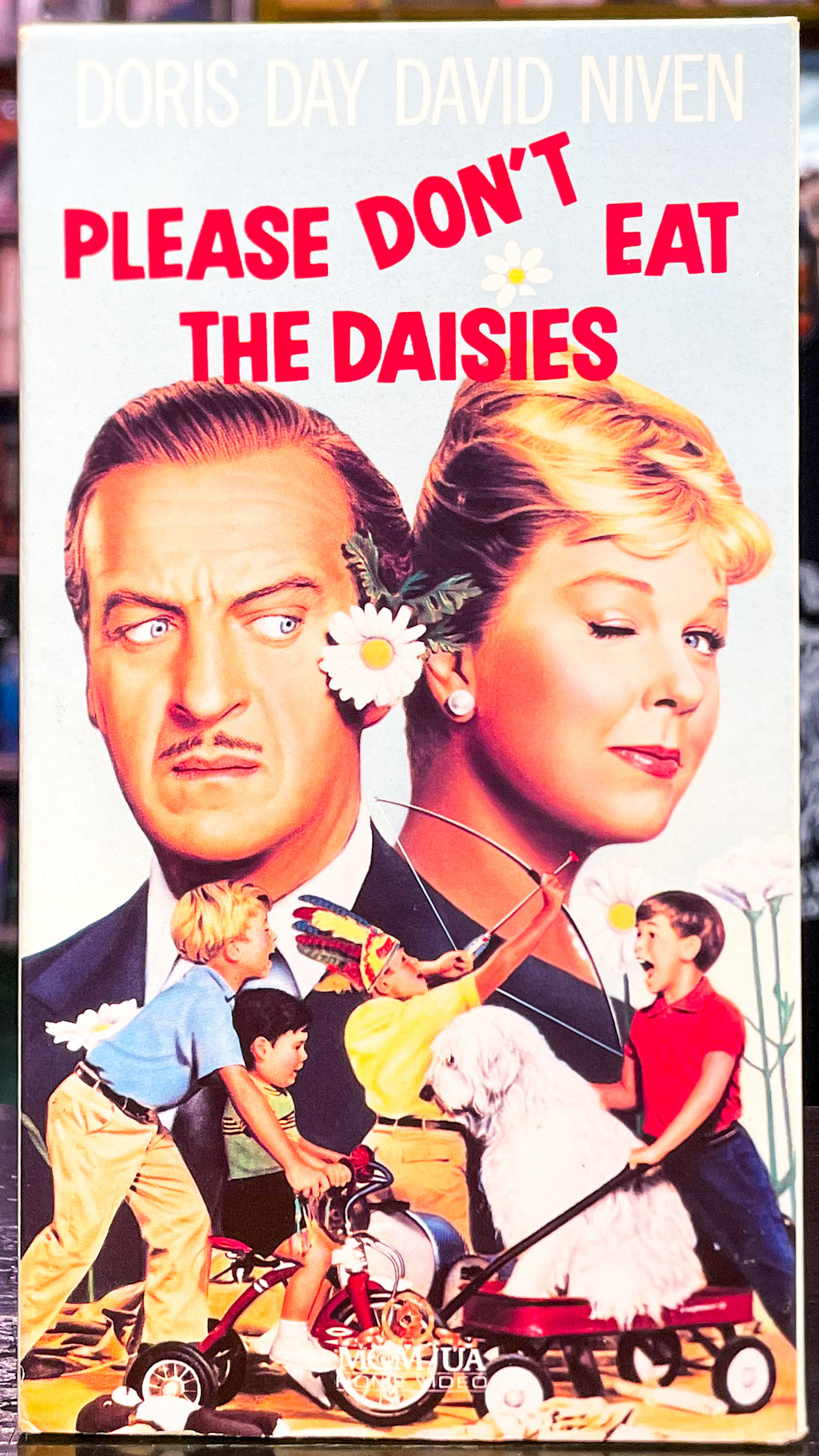 Please Don’t Eat The Daisies