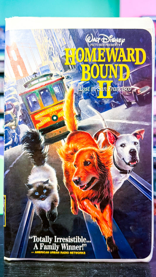 Homeward Bound 2 Lost In San Francisco