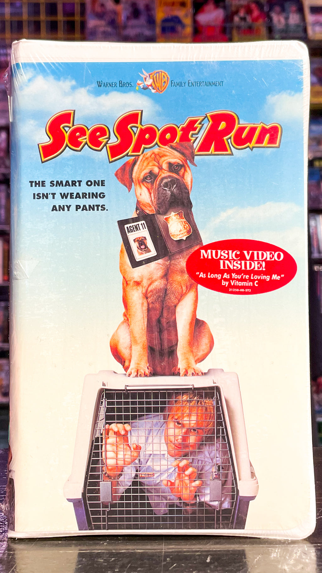 See Spot Run