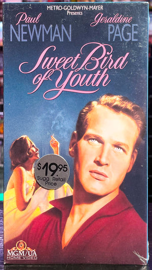 Sweet Bird Of Youth