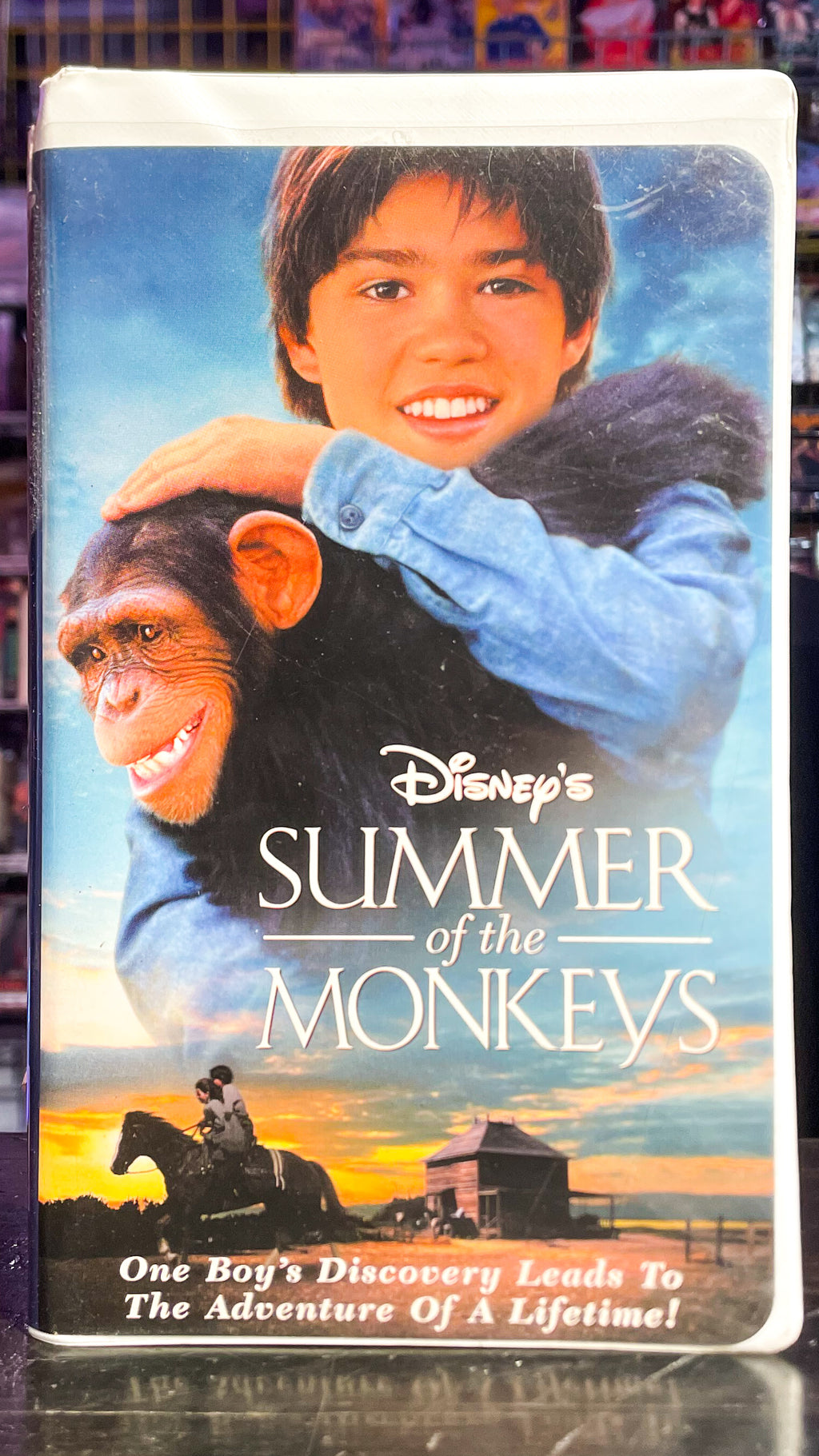 Summer Of The Monkeys