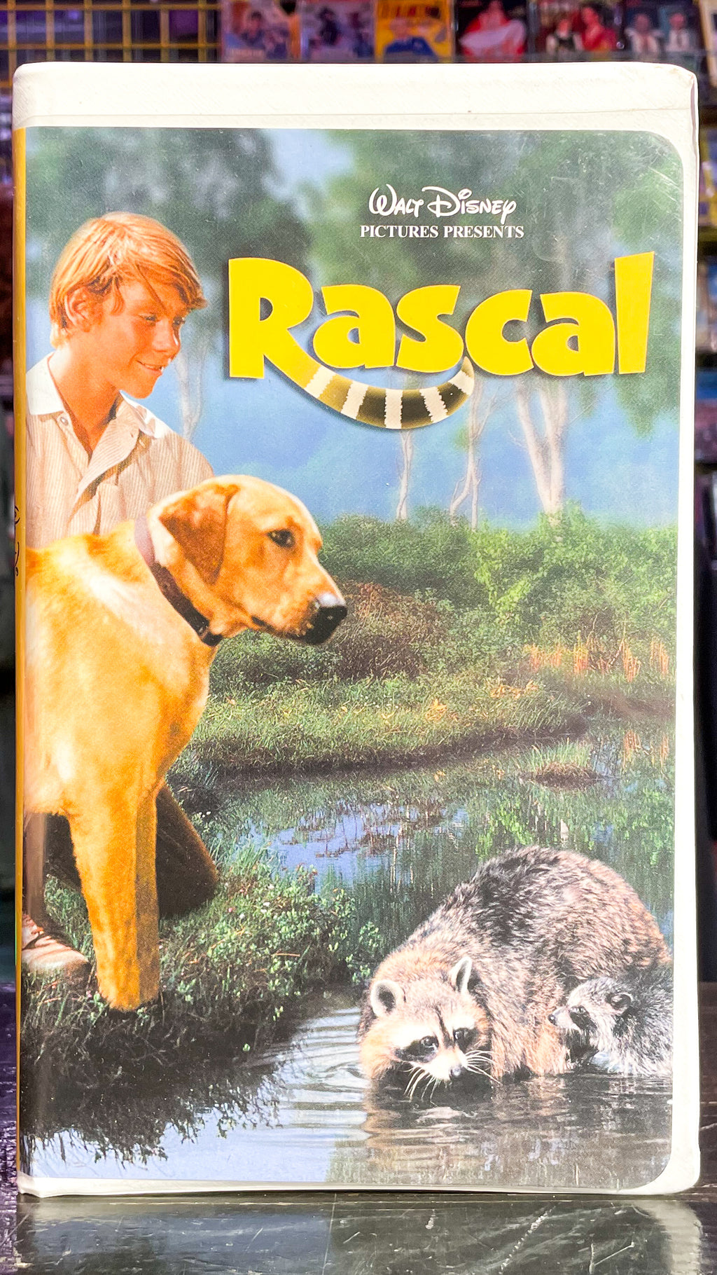 Rascal