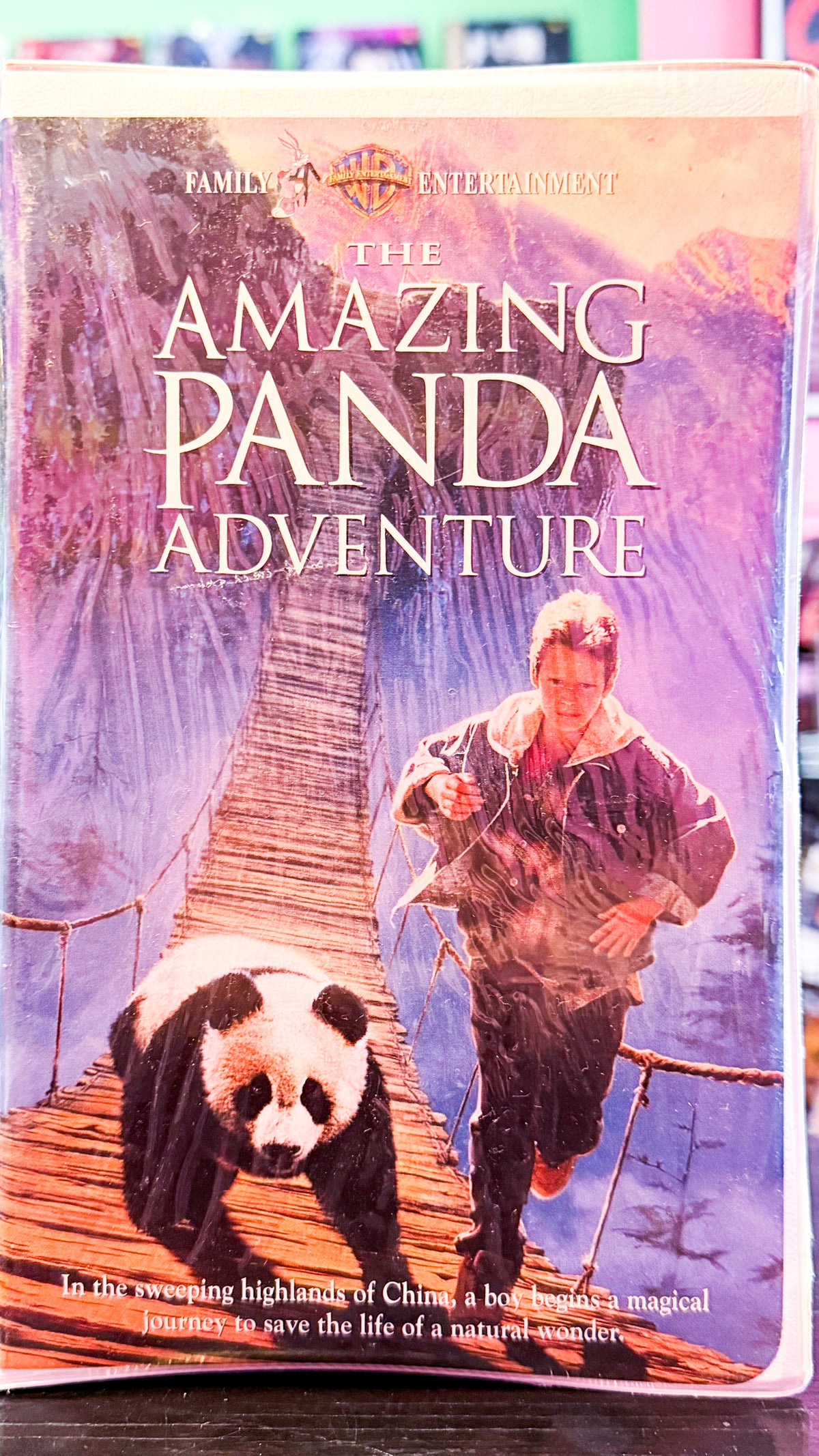 The Amazing Panda Adventure