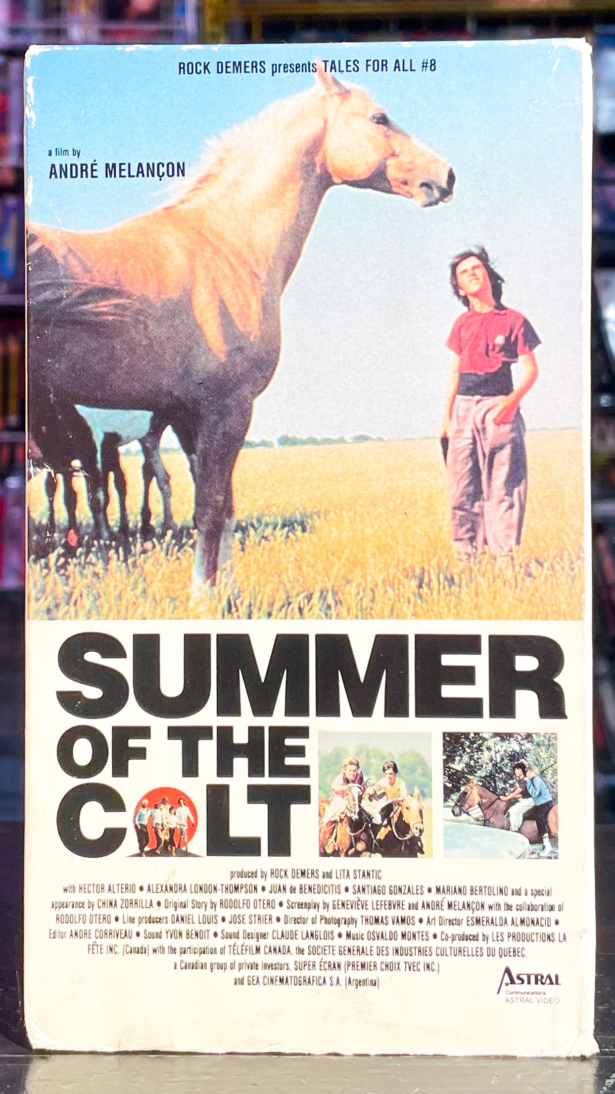 Summer Of The Colt