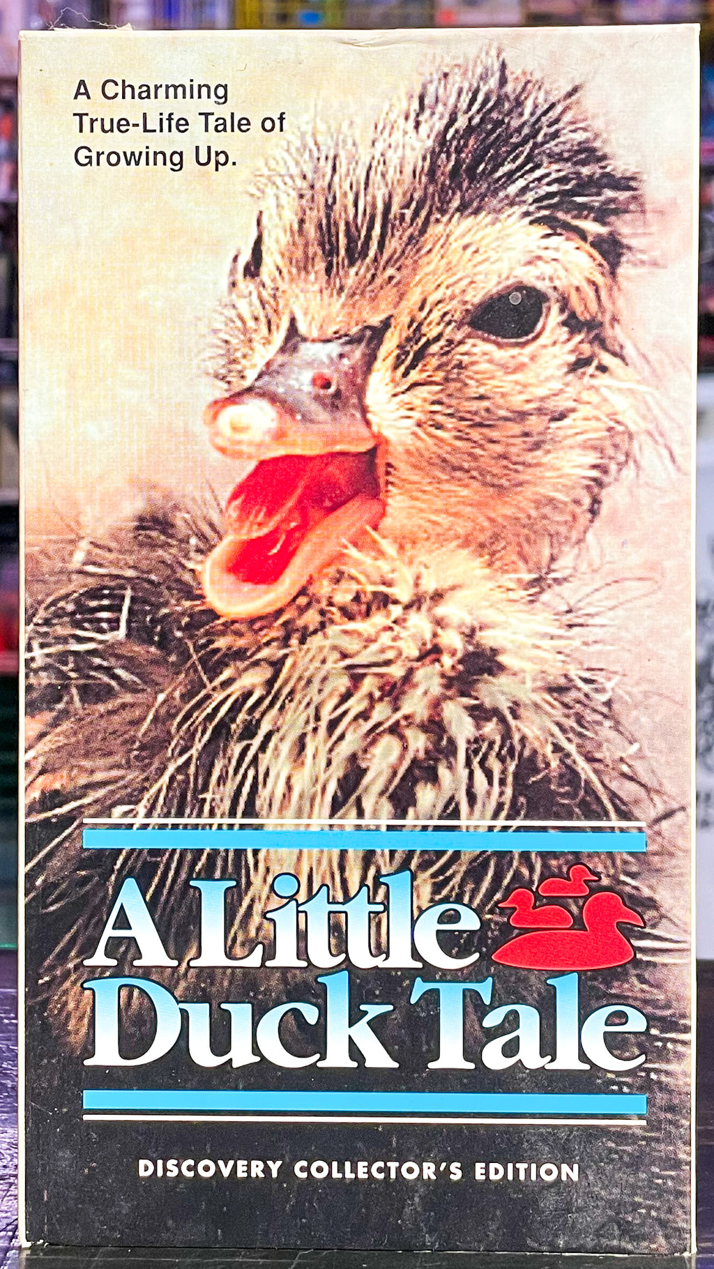 A Little Ducks Tale
