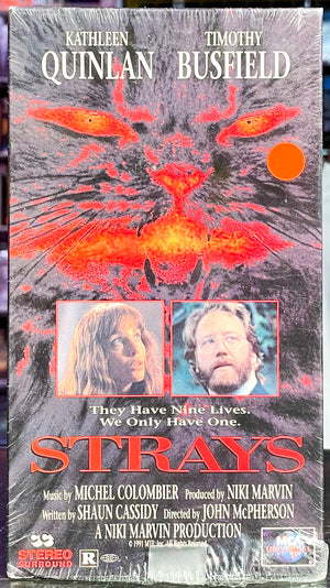 Strays