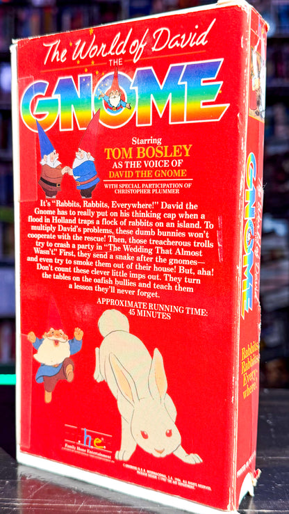 The World Of David The Gnome Rabbits, Rabbits, Everywhere!