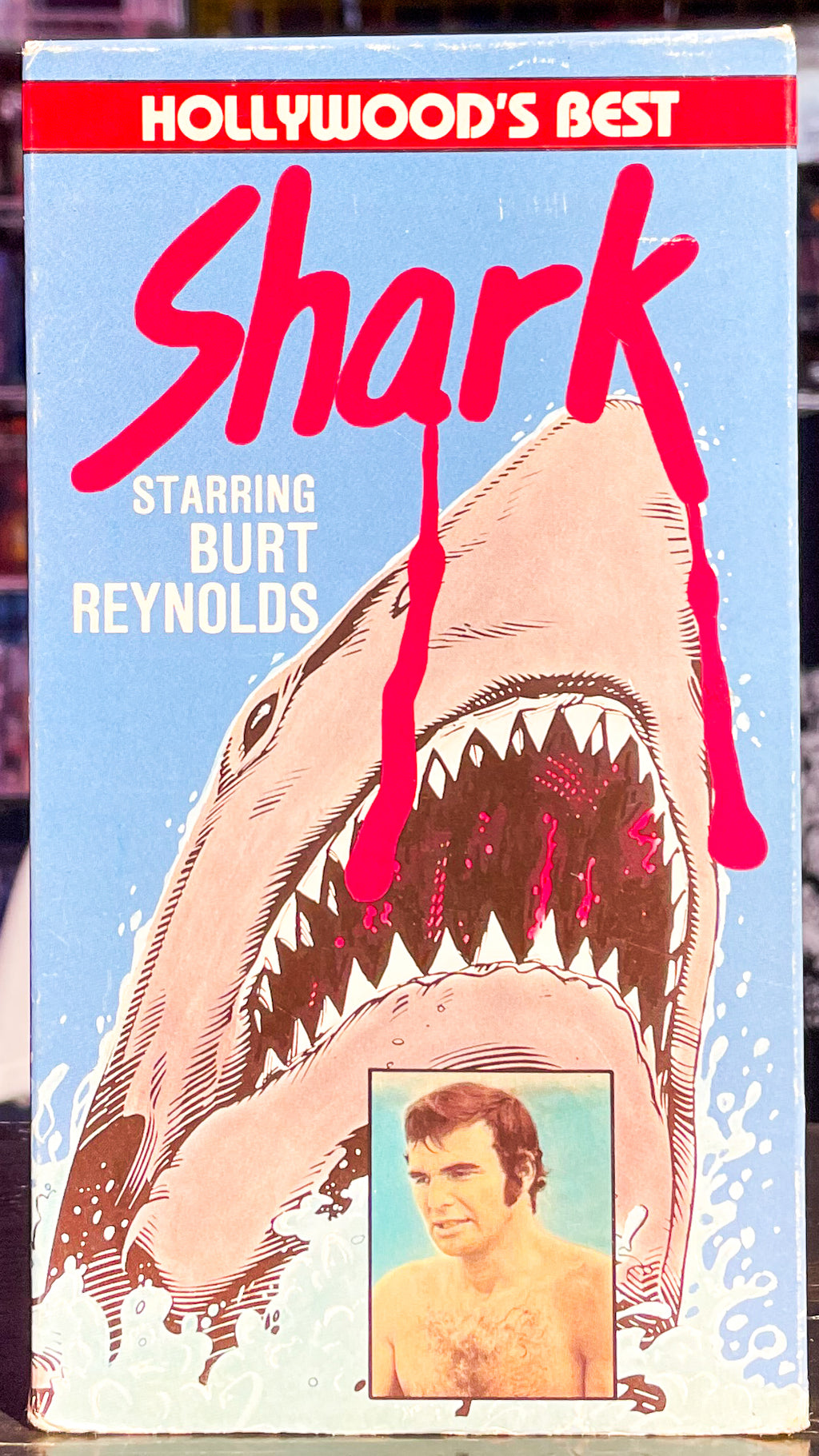 Shark