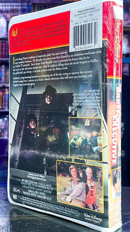 The Barefoot Executive