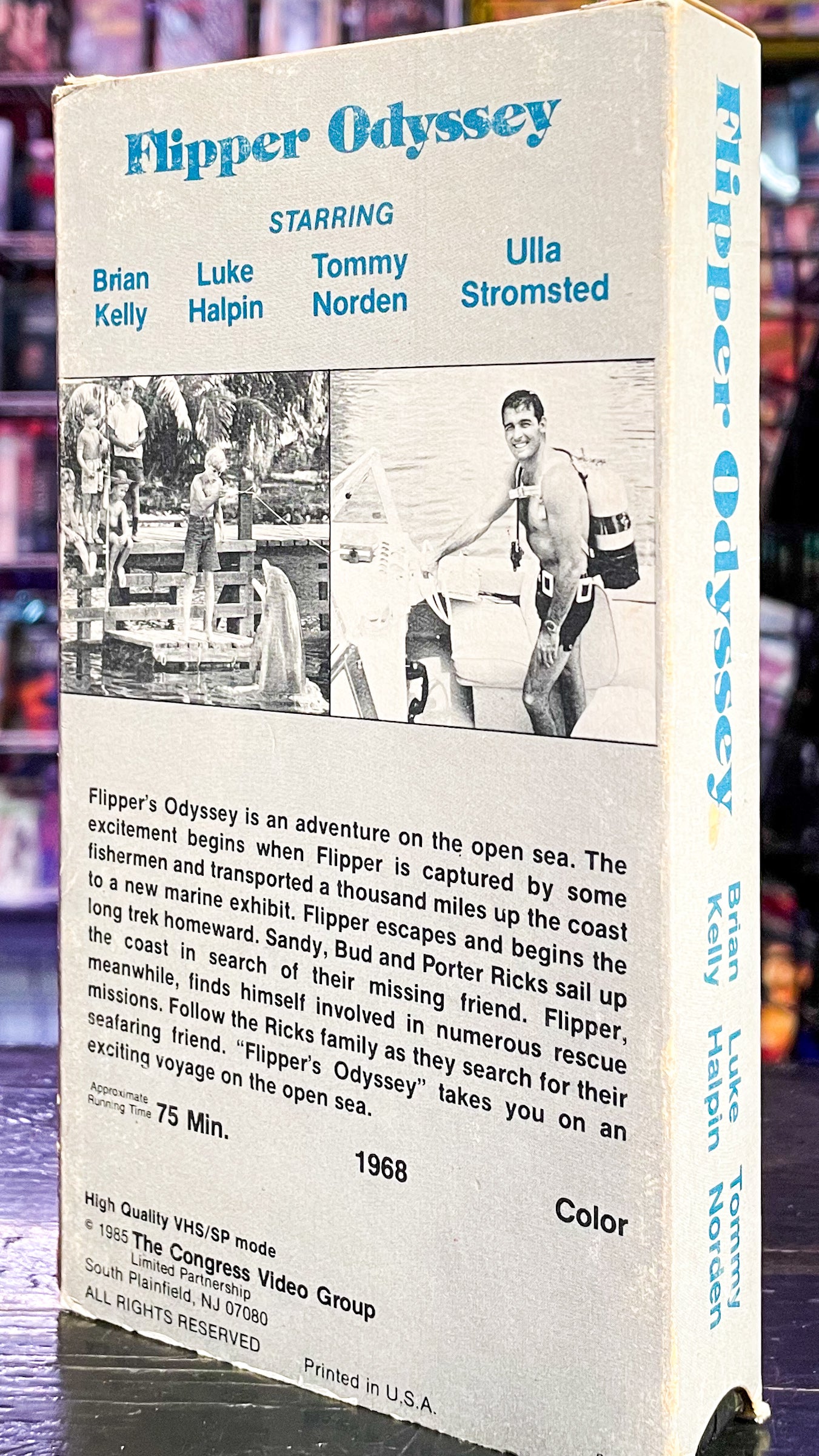 Flipper Odyssey