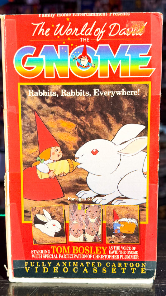 The World Of David The Gnome Rabbits, Rabbits, Everywhere!