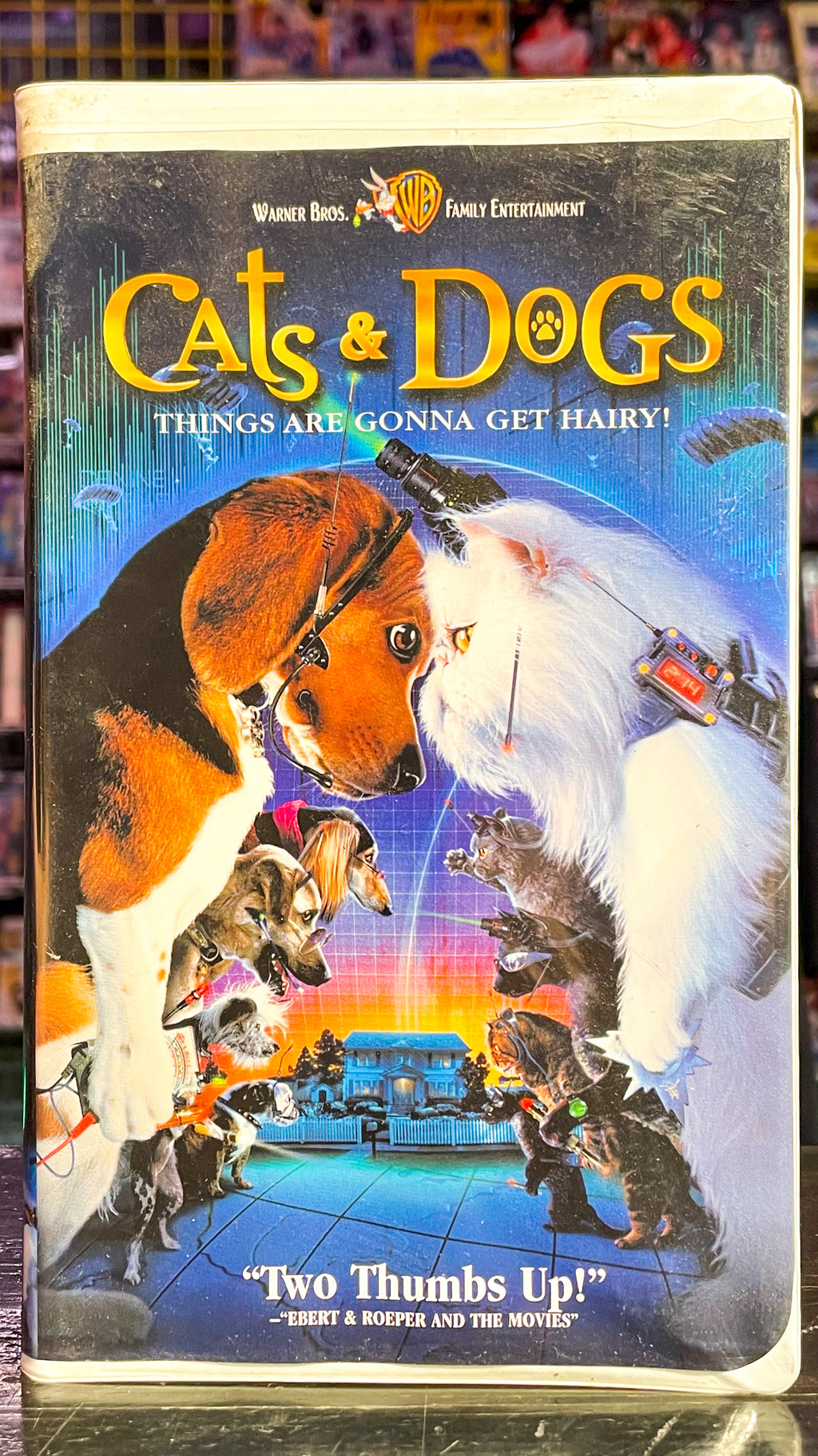 Cats & Dogs
