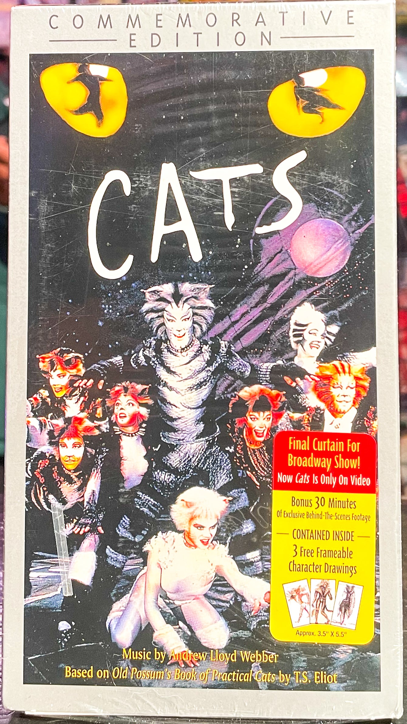 Cats