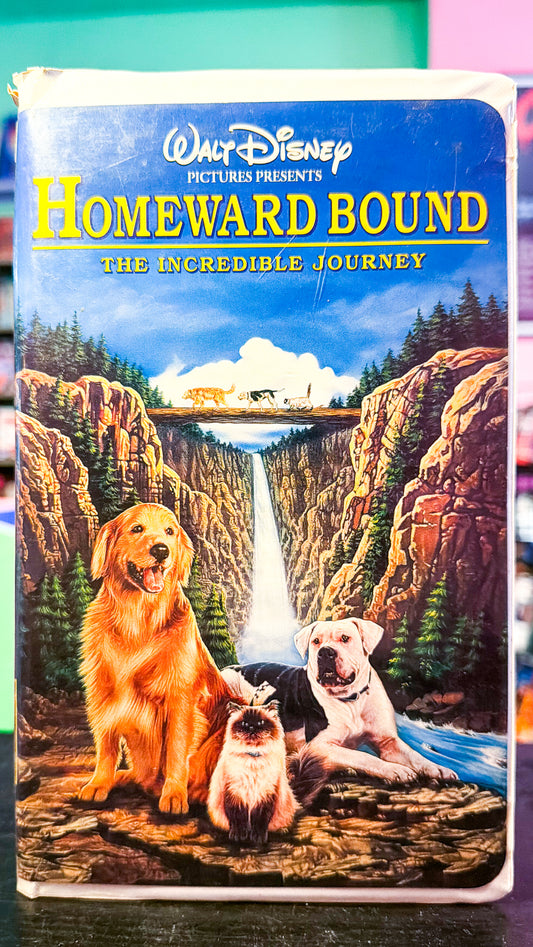 Homeward Bound