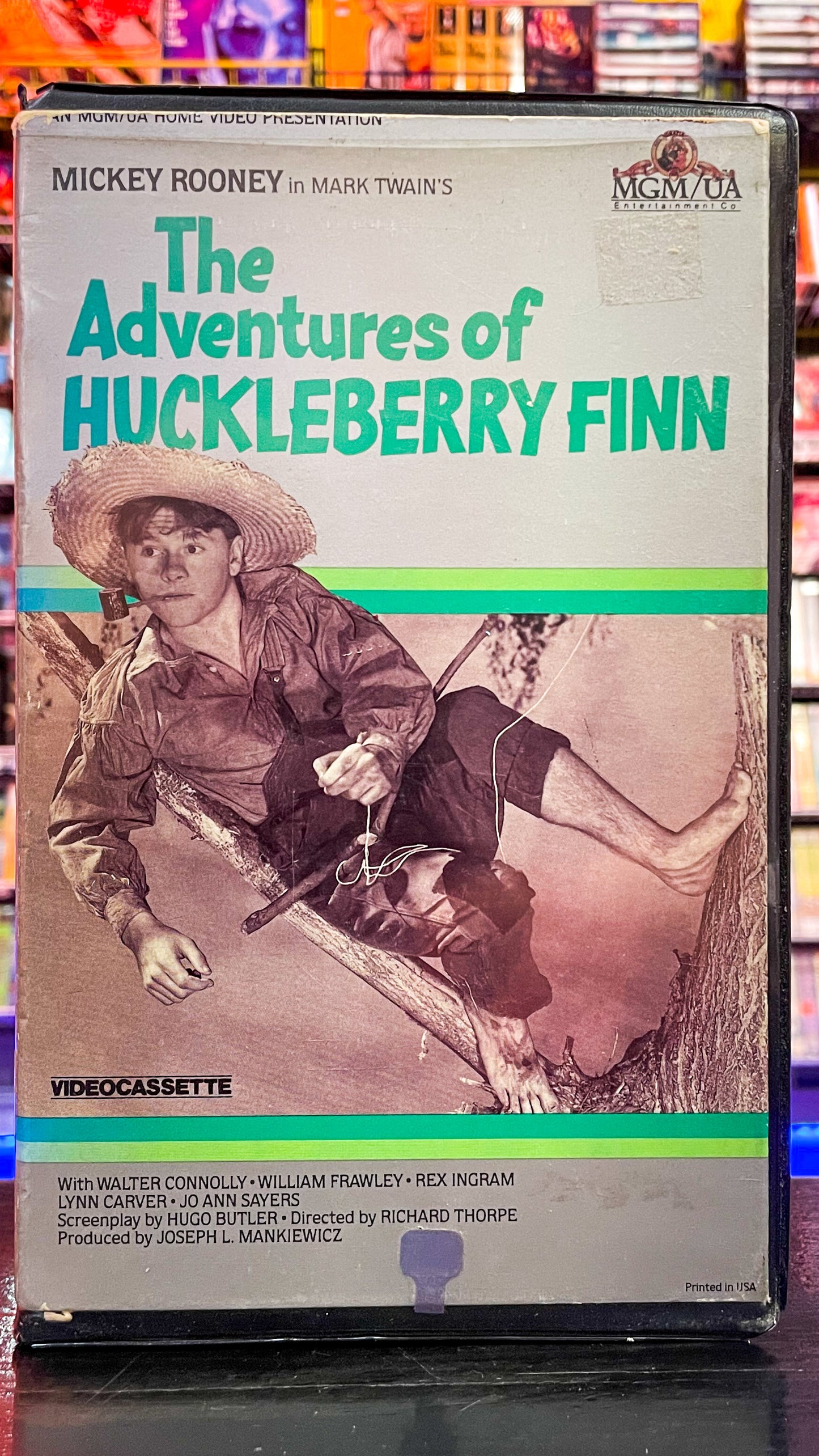 The Adventures Of Huckleberry Finn
