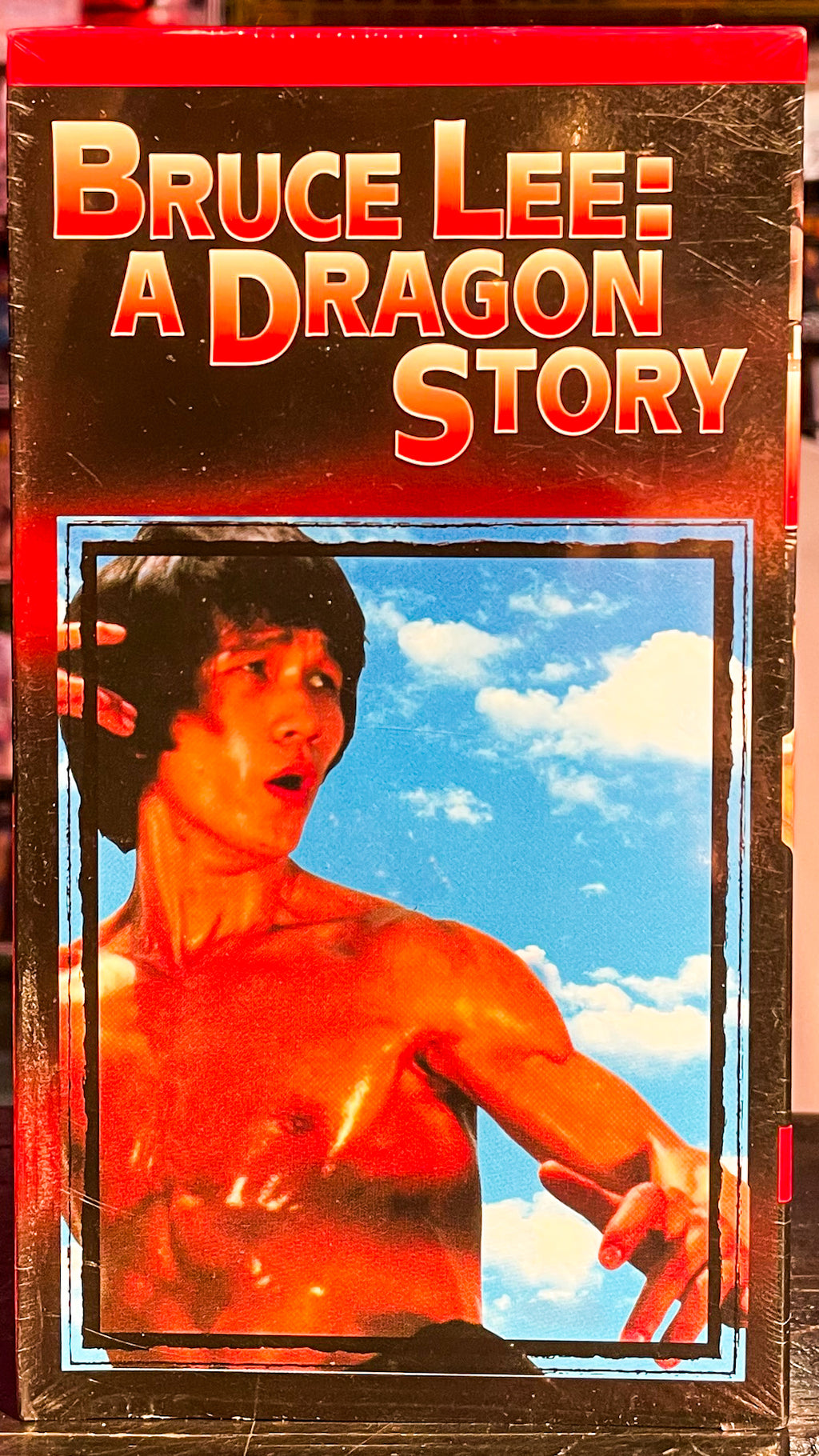 Bruce Lee: A Dragon Story