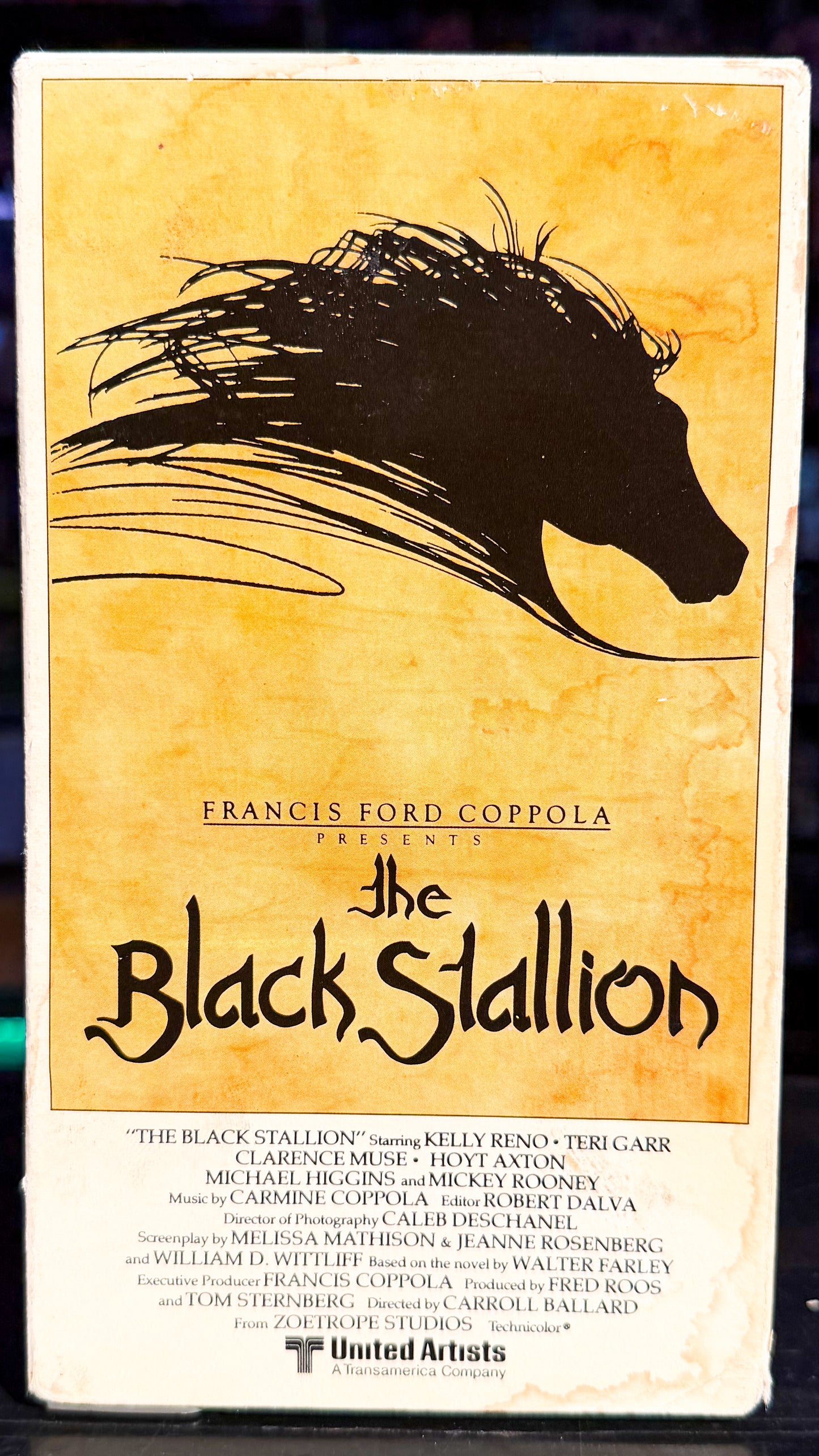 The Black Stallion