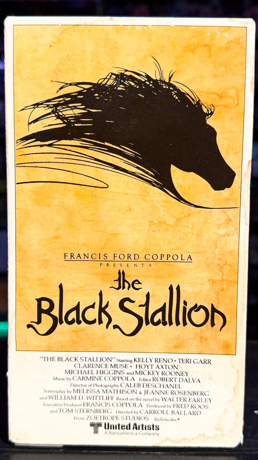 The Black Stallion