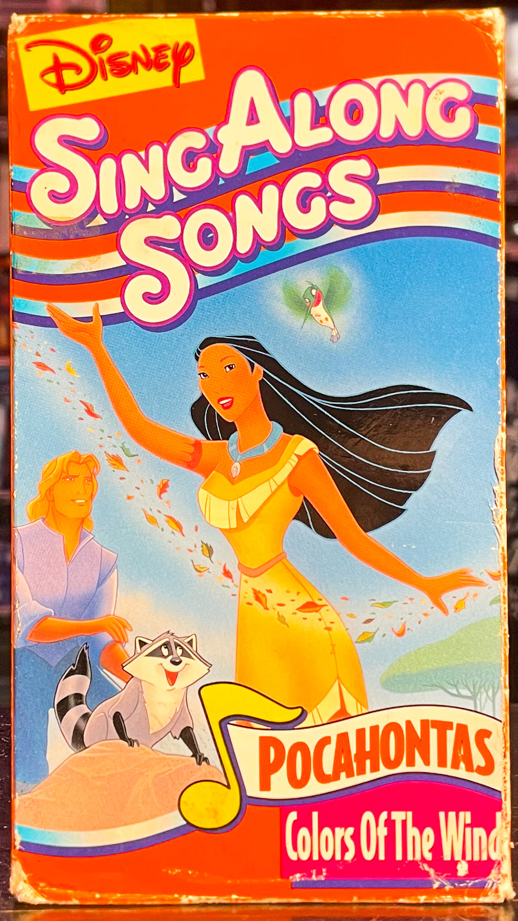 Disneys Sing Along - Colors Of The Wind