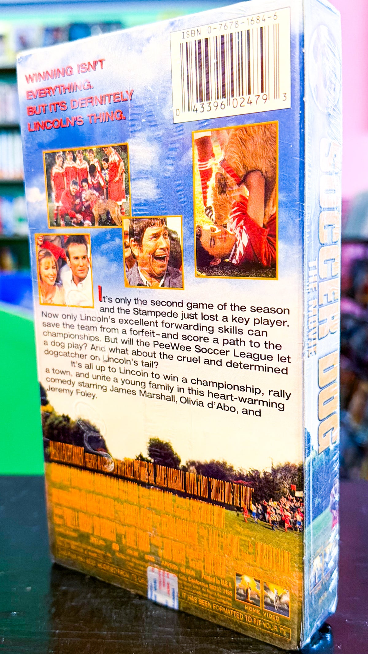 Soccer Dog The Movie