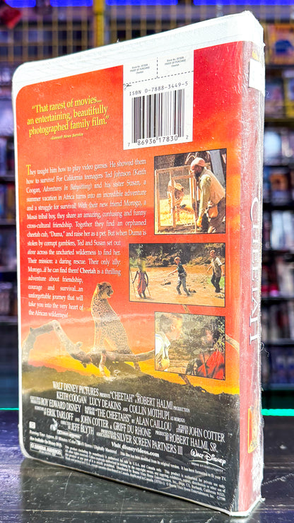 Cheetah