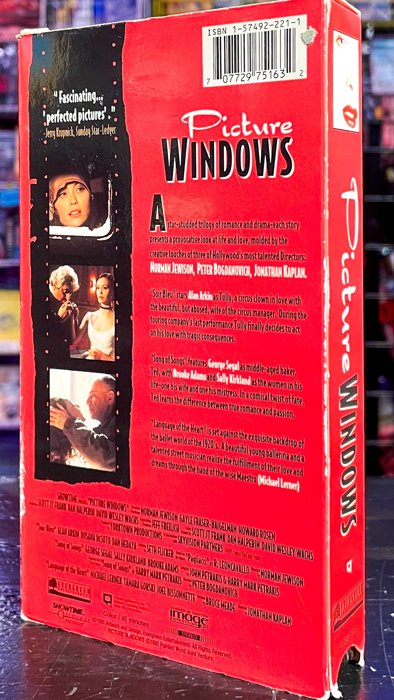 Picture Windows