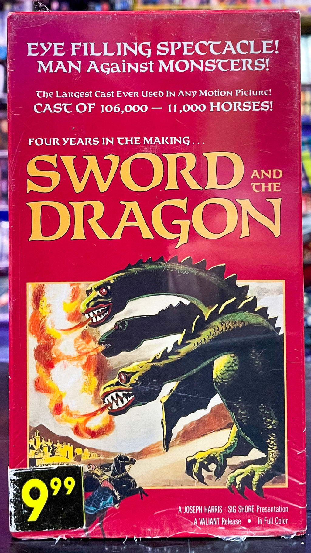 Sword And The Dragon