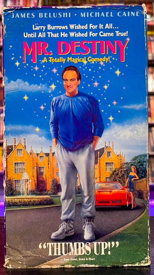 Mr. Destiny