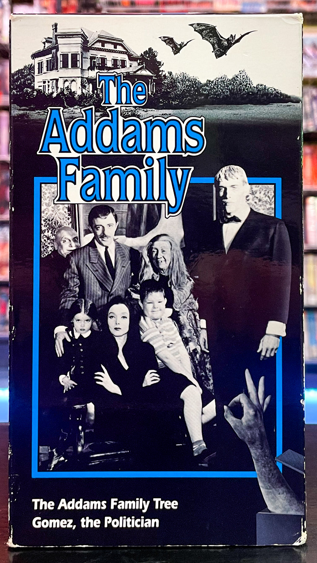 The Addams Family: The Addams Family Tree, Gomez, The Politician